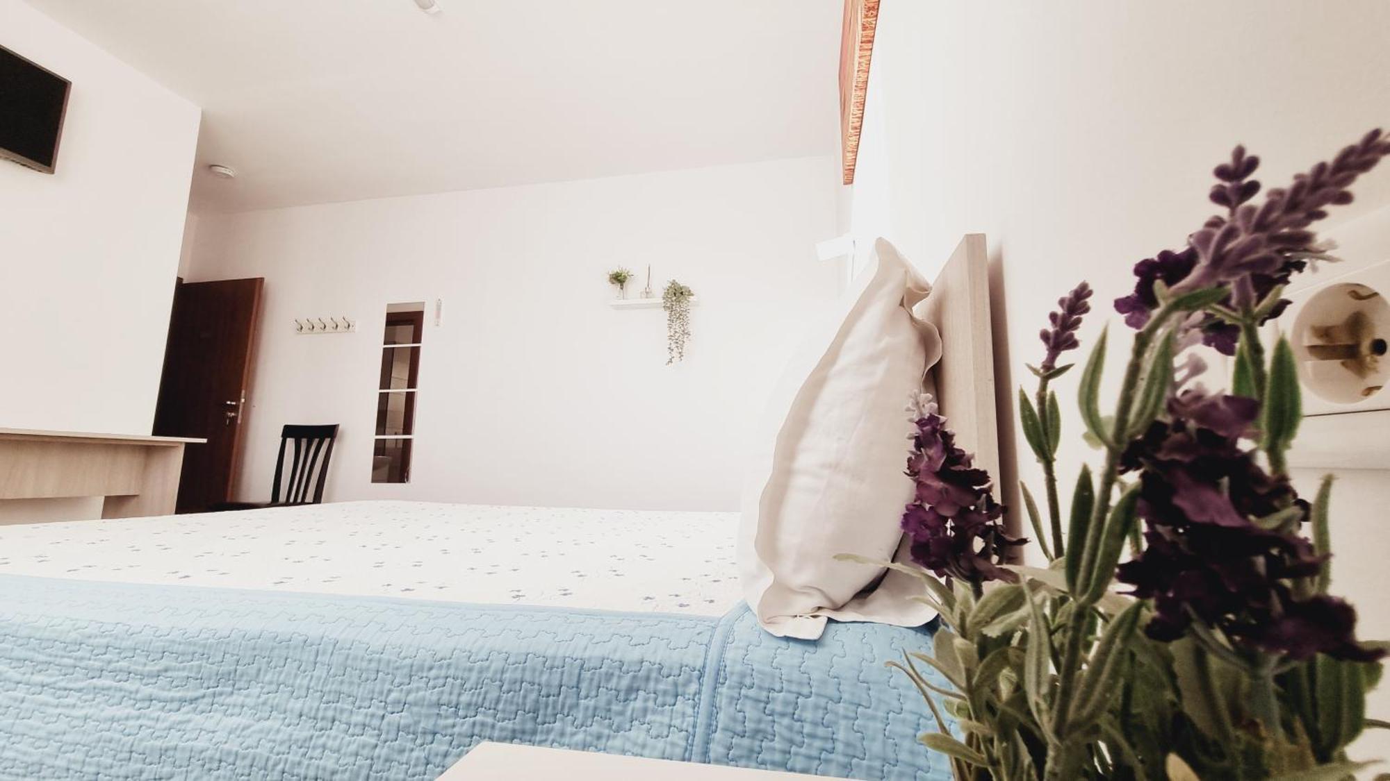 Pensiunea Diana Trestiana Ngoại thất bức ảnh
